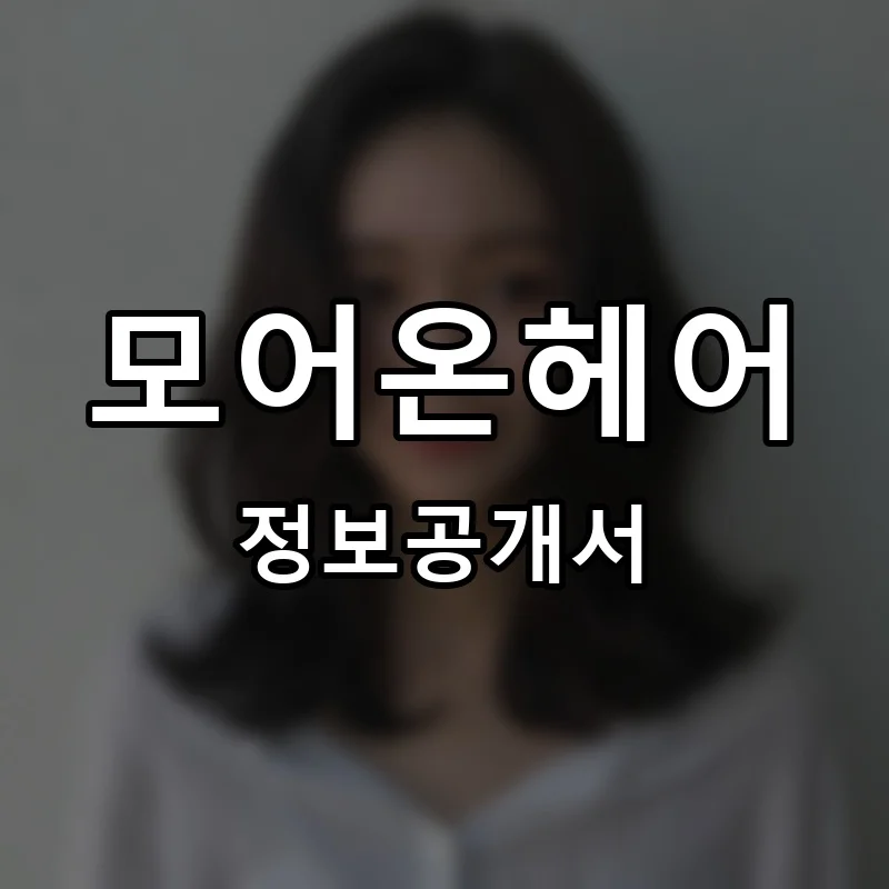 모어온헤어 프랜차이즈 창업 비용 정보공개서 요약