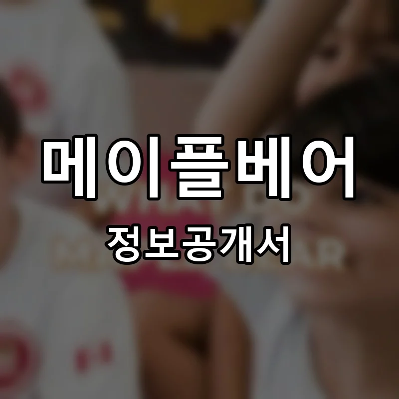 메이플베어 프랜차이즈 창업 비용 정보공개서 요약