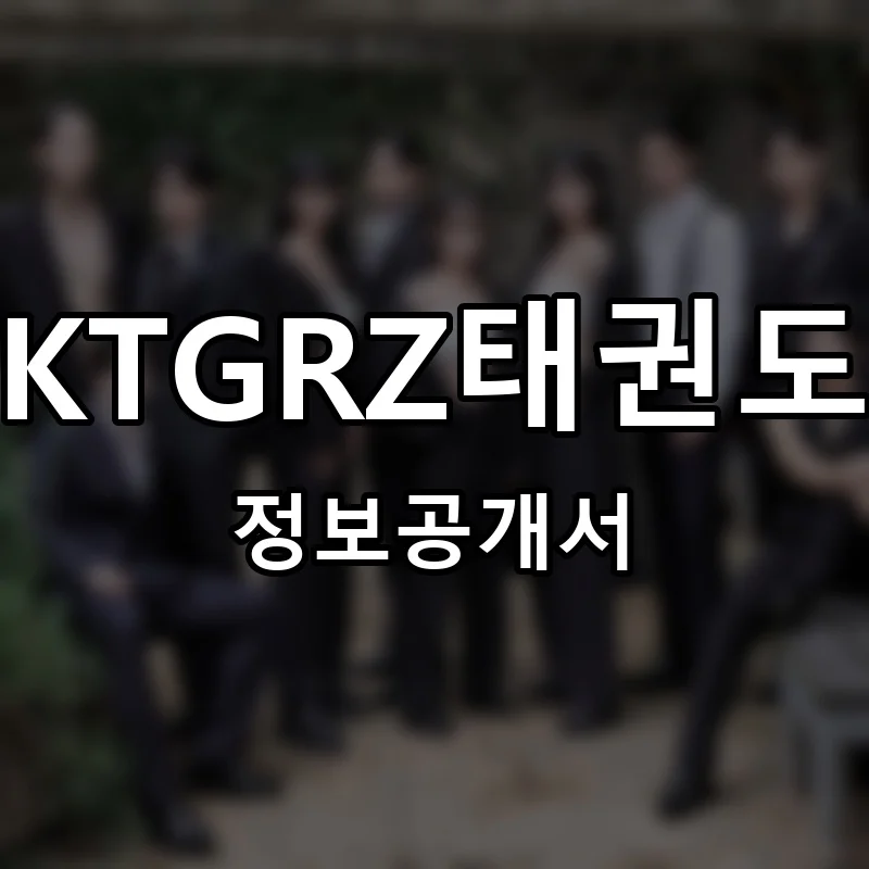 KTGRZ태권도 창업 프랜차이즈 정보공개서 요약 2025.07.16