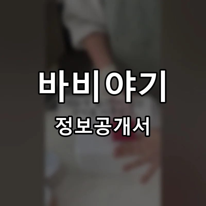 바비야기 프랜차이즈 창업 비용 정보공개서 요약