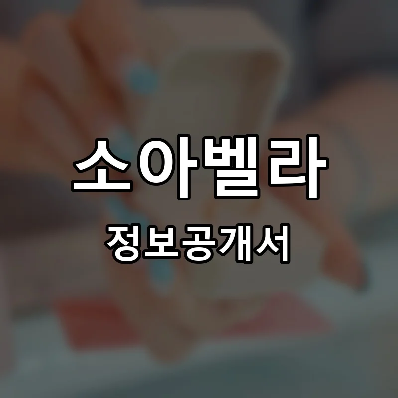 소아벨라 프랜차이즈 정보공개서