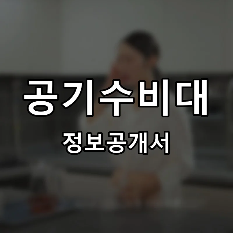 공기수비대 프랜차이즈 정보공개서 요약 2025.07.29