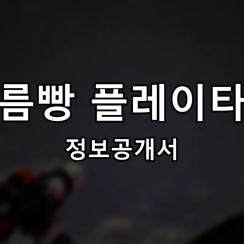 플레이타임 프랜차이즈 창업 비용 정보공개서 요약