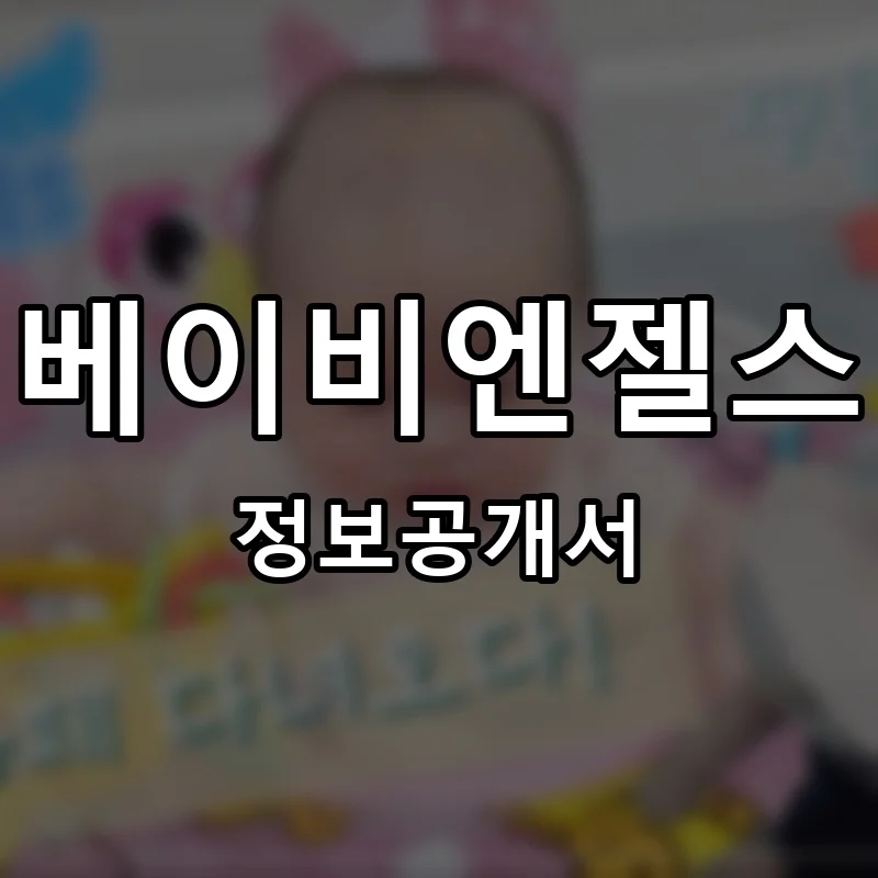 베이비엔젤스 프랜차이즈 창업 비용 정보공개서 요약