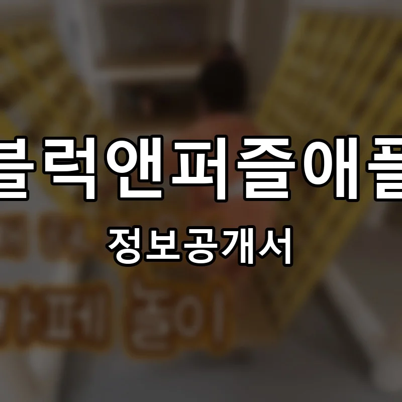 블럭앤퍼즐애플 프랜차이즈 창업 비용 정보공개서 요약