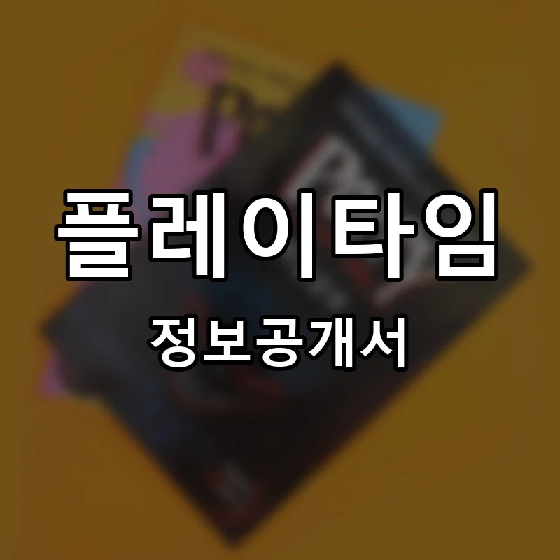플레이타임 프랜차이즈 정보공개서 요약