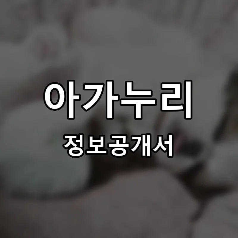 아가누리 프랜차이즈 정보공개서