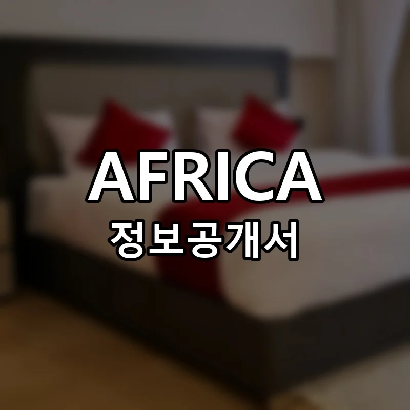 아프리카 창업 AFRICA 프랜차이즈 정보공개서 요약 2025.08.06