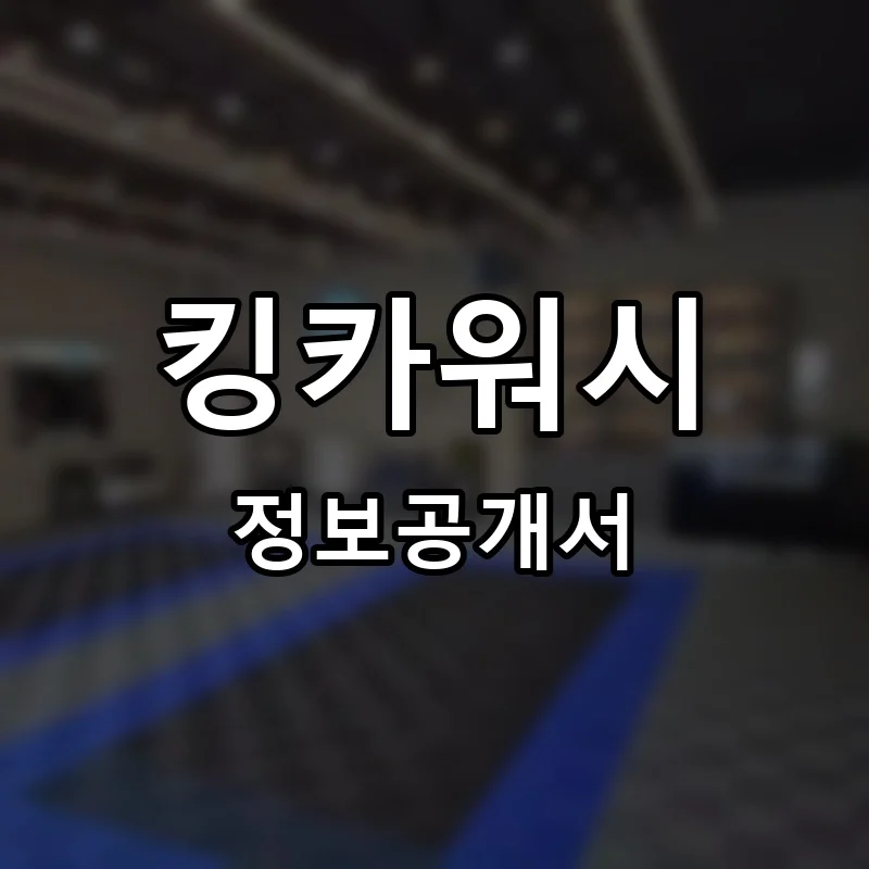 킹카워시 프랜차이즈 창업 비용 정보공개서 요약