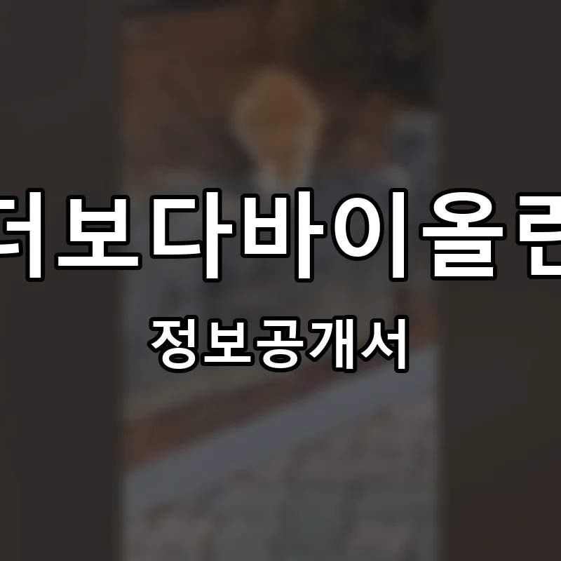 더보다바이올린 프랜차이즈 창업 비용 정보공개서 요약