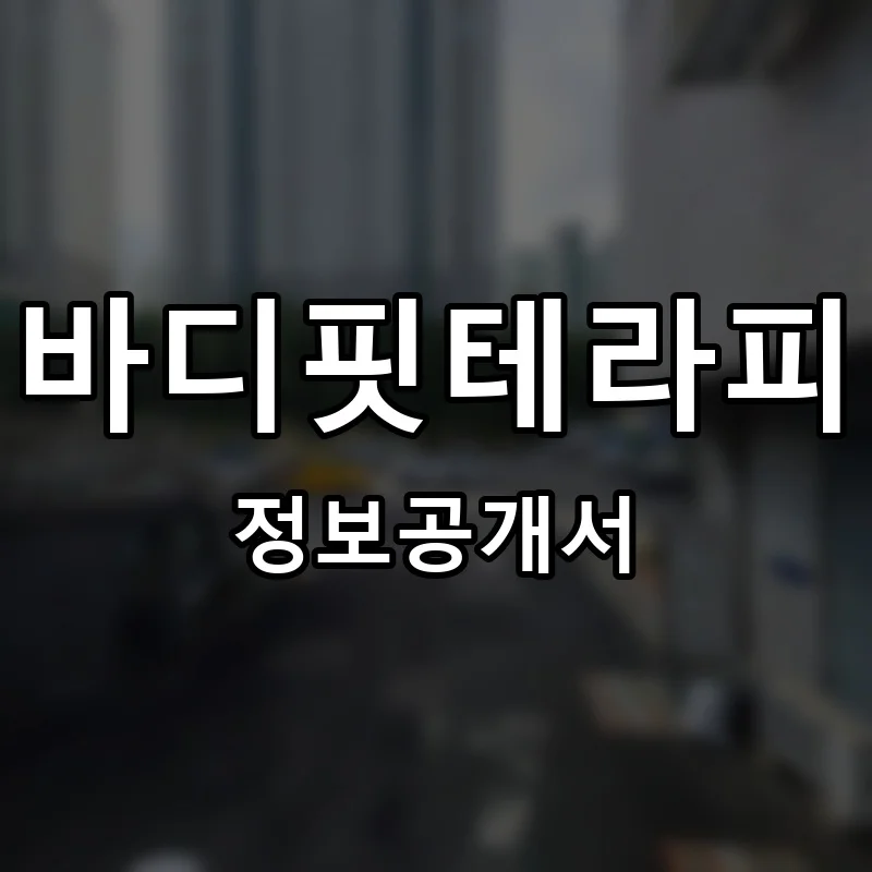 바디핏테라피 프랜차이즈 창업 비용 정보공개서 요약