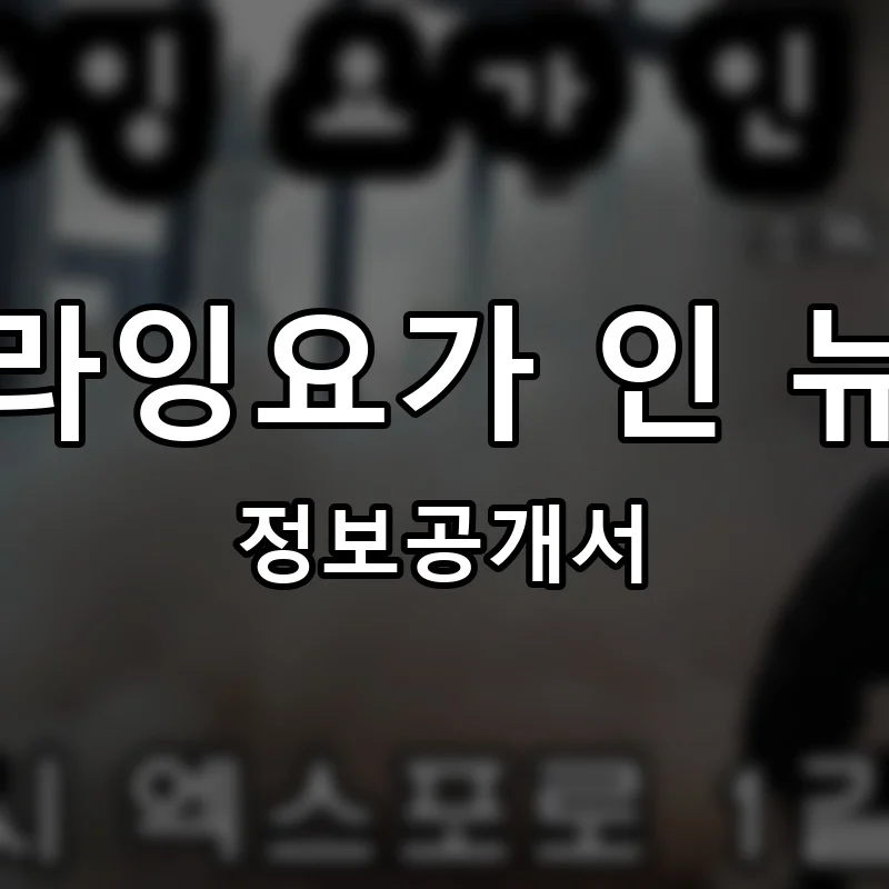 플라잉요가 인 뉴욕 프랜차이즈 정보공개서