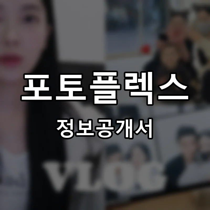 포토플렉스 프랜차이즈 창업 비용 정보공개서 요약