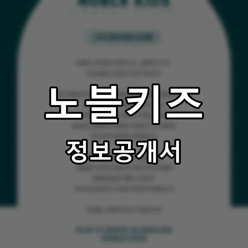 노블키즈 프랜차이즈 창업 비용 정보공개서 요약