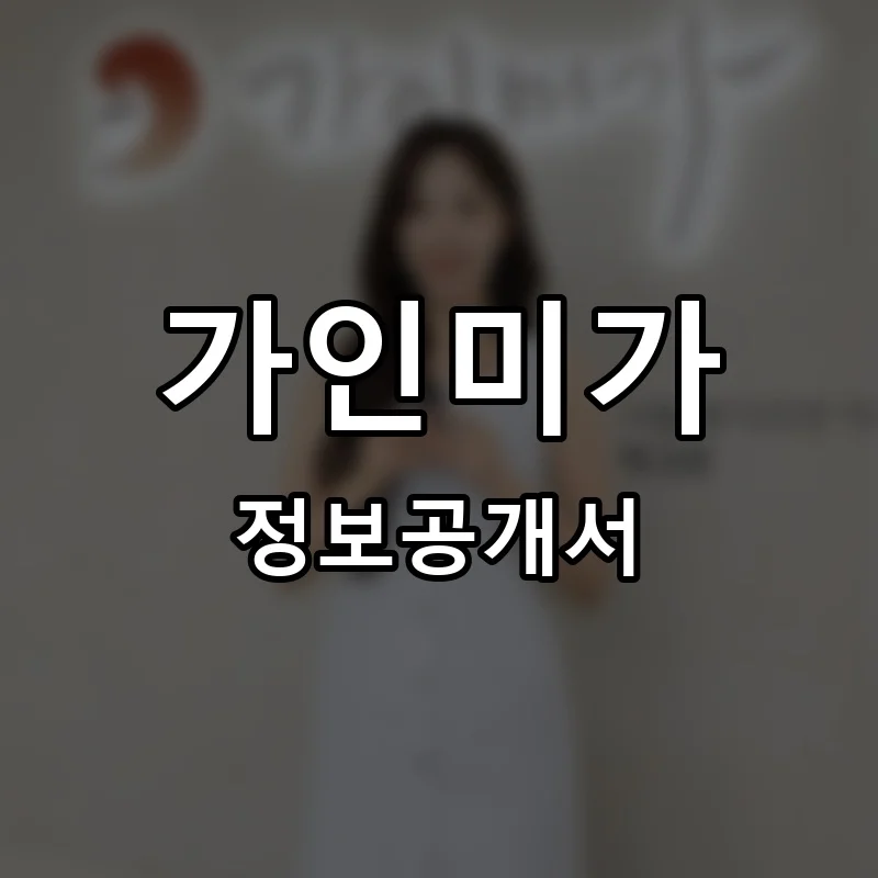 가인미가 프랜차이즈 창업 비용 정보공개서 요약