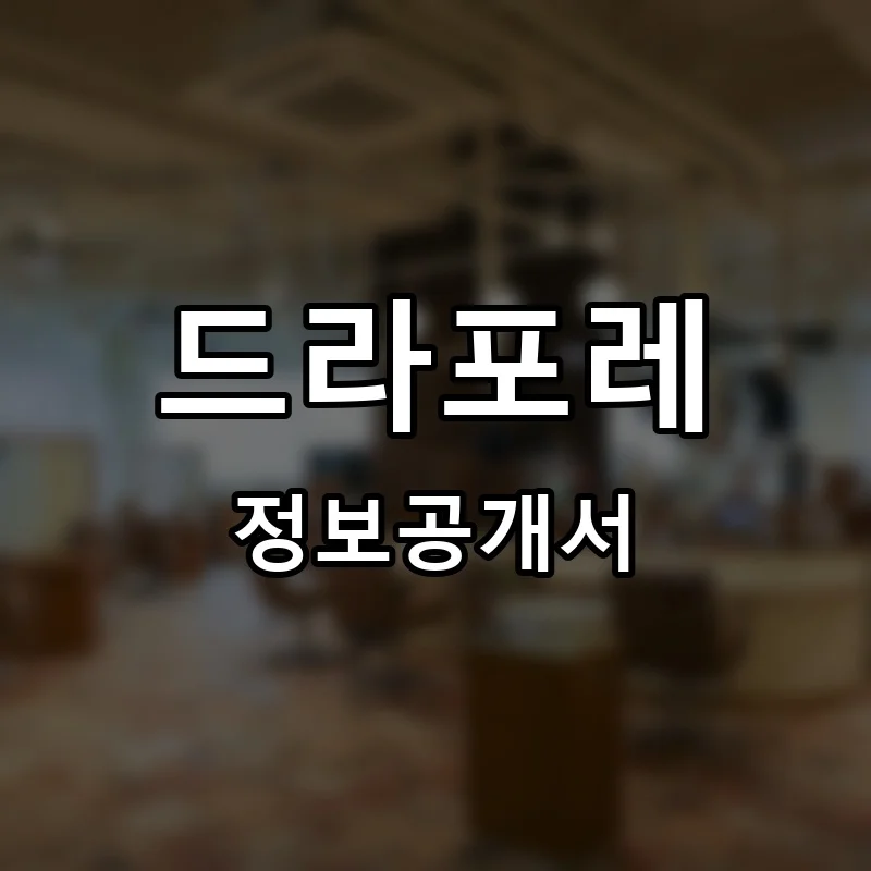 드라포레 프랜차이즈 창업 비용 정보공개서 요약