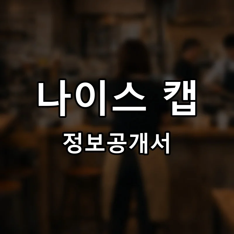나이스 캡(NICE CAB) 프랜차이즈 정보공개서