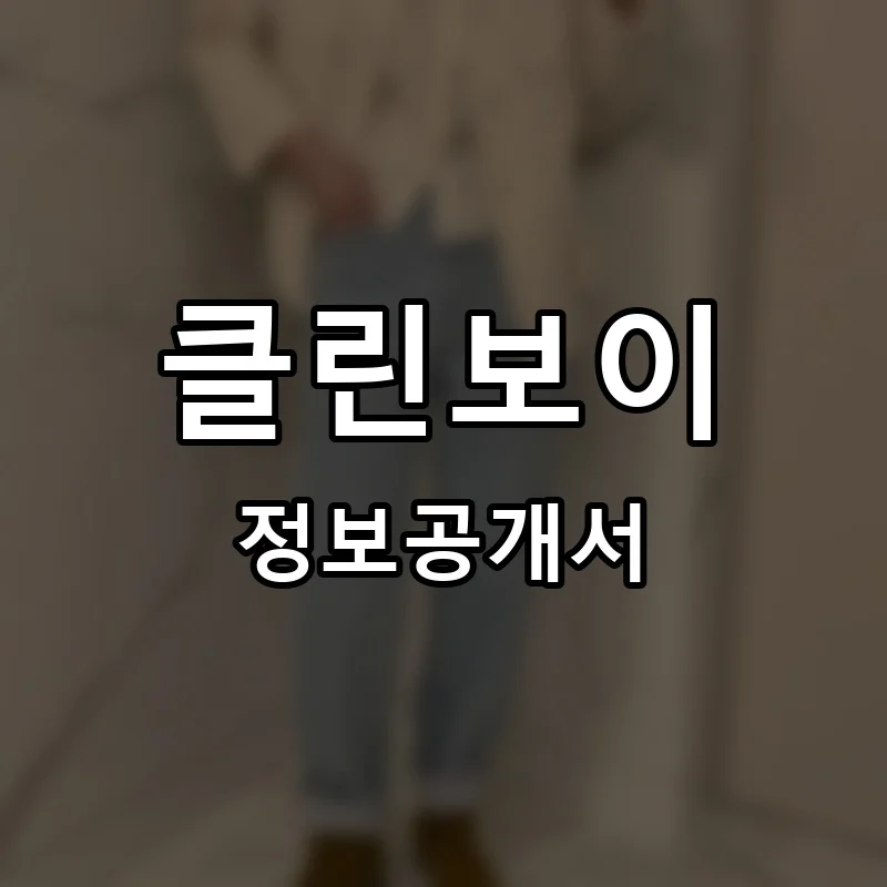 클린보이 프랜차이즈 정보공개서