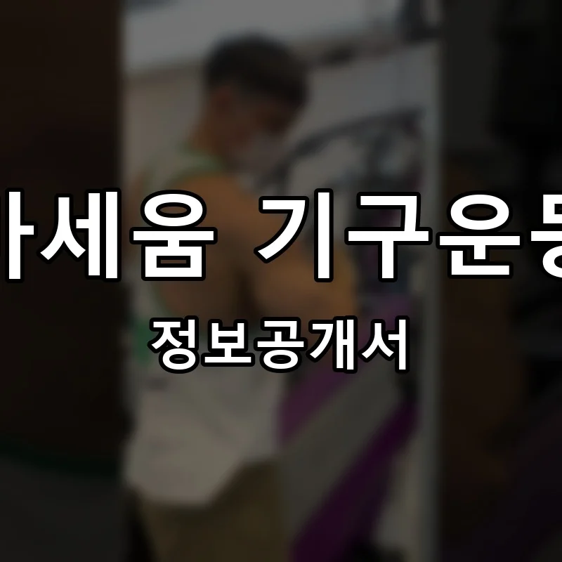 바세움 기구운동 프랜차이즈 정보공개서