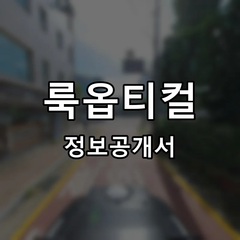 룩옵티컬 프랜차이즈 창업 비용 정보공개서 요약