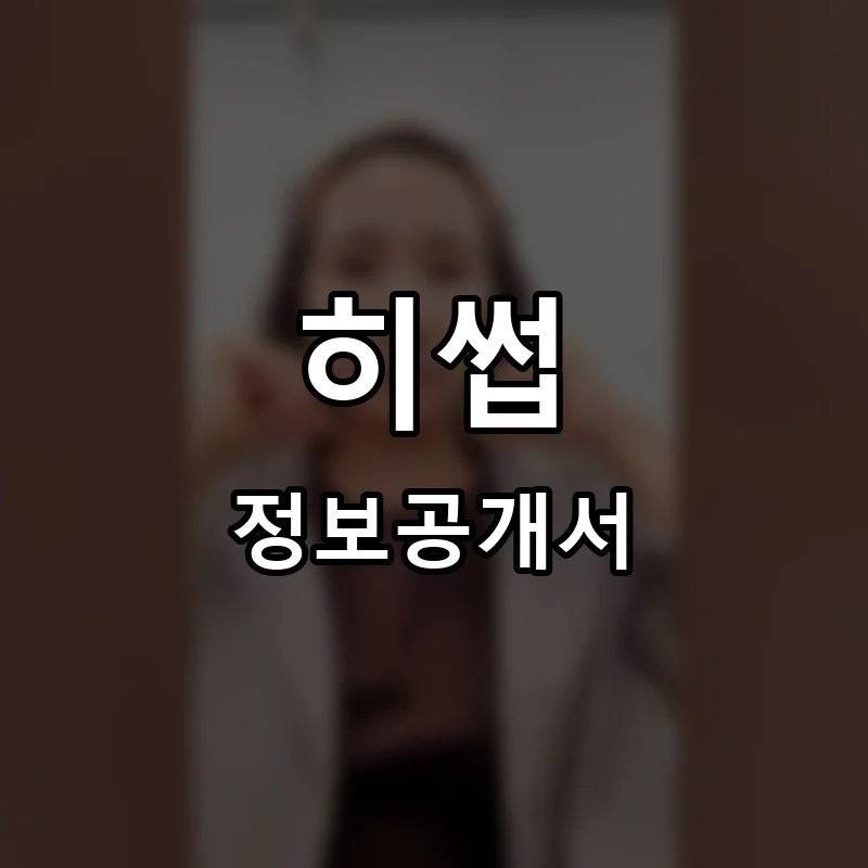 히썹 프랜차이즈 창업 비용 정보공개서 요약