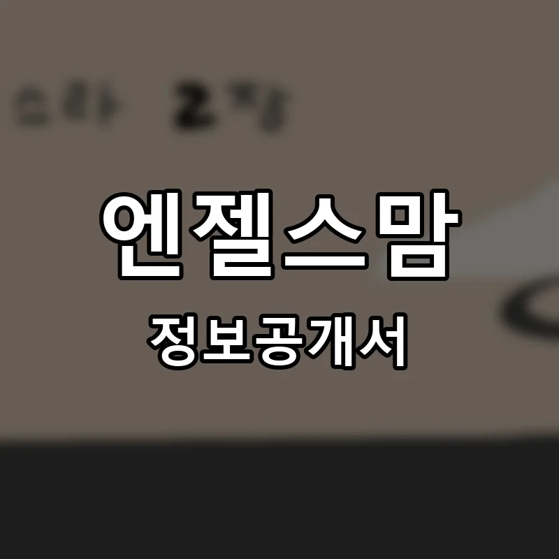 엔젤스맘 프랜차이즈 창업 비용 정보공개서 요약