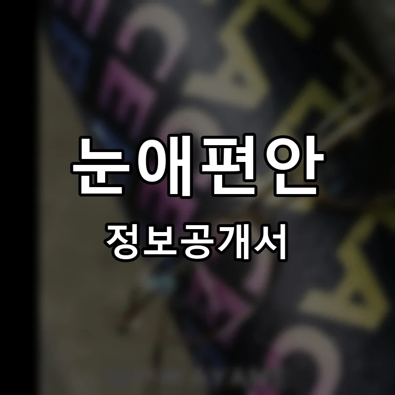 눈애편안 프랜차이즈 창업 비용 정보공개서 요약