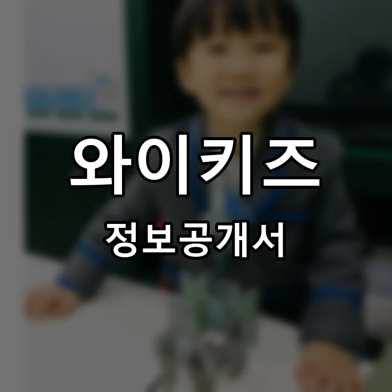 와이키즈 프랜차이즈 창업 비용 정보공개서 요약