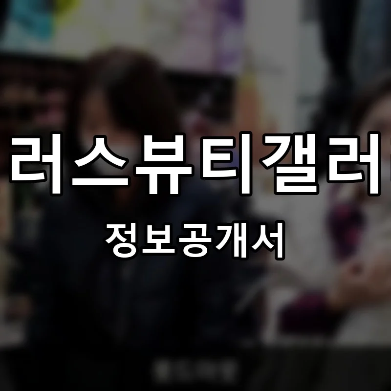 힐러스뷰티갤러리 프랜차이즈 창업 비용 정보공개서 요약