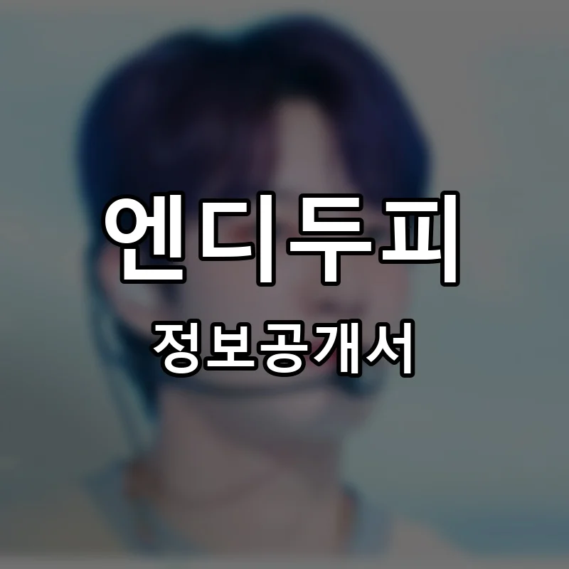 엔디두피 프랜차이즈 창업 비용 정보공개서 요약
