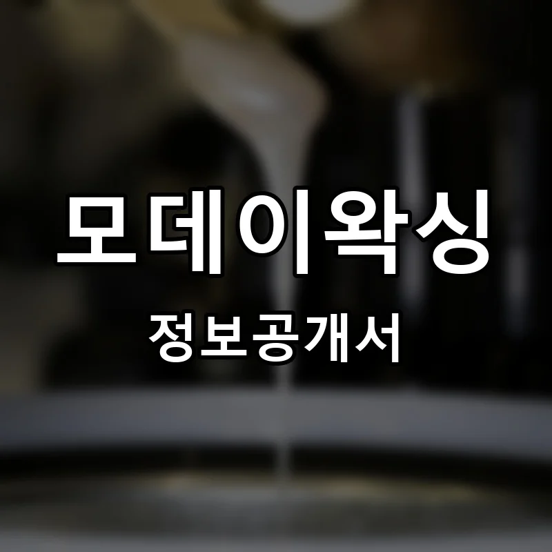 모데이왁싱(MO DAY WAXING) 프랜차이즈 창업 비용 정보공개서 요약