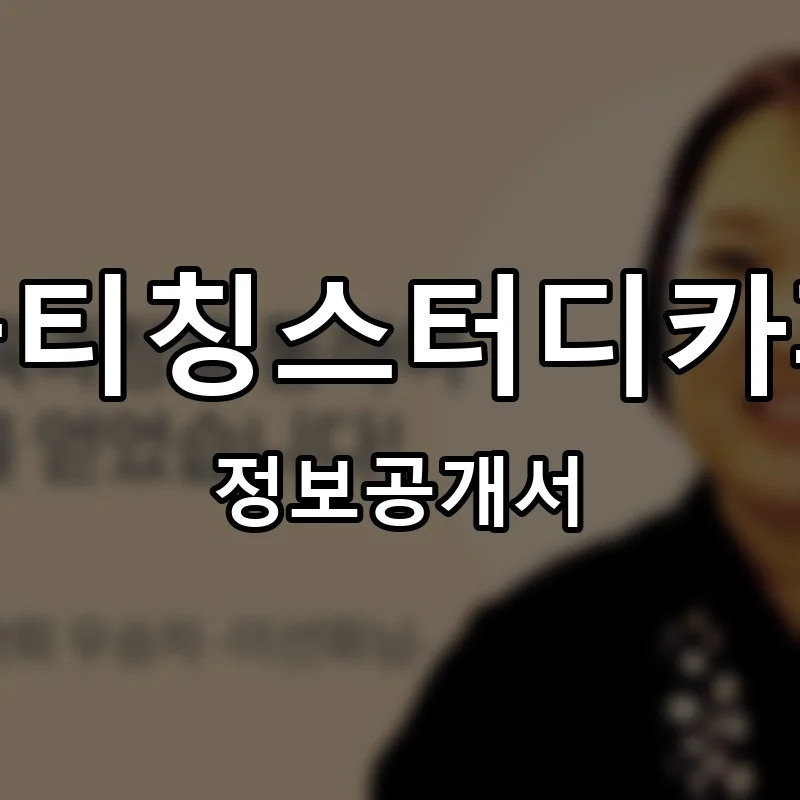 올티칭스터디카페 프랜차이즈 정보공개서