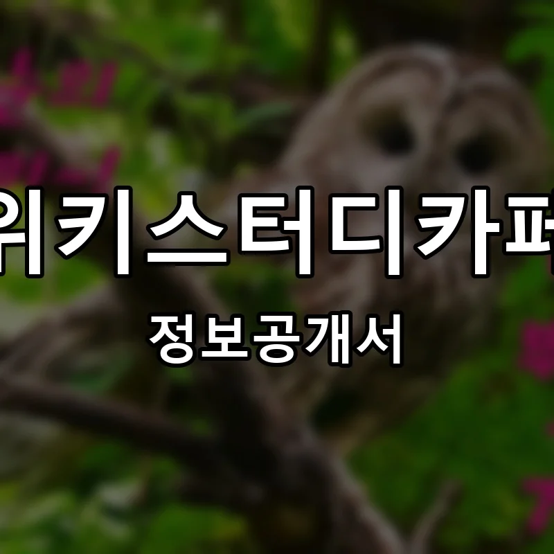위키스터디카페 프랜차이즈 정보공개서