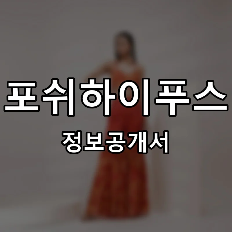포쉬하이푸스(Forsy hifuss) 프랜차이즈 정보공개서