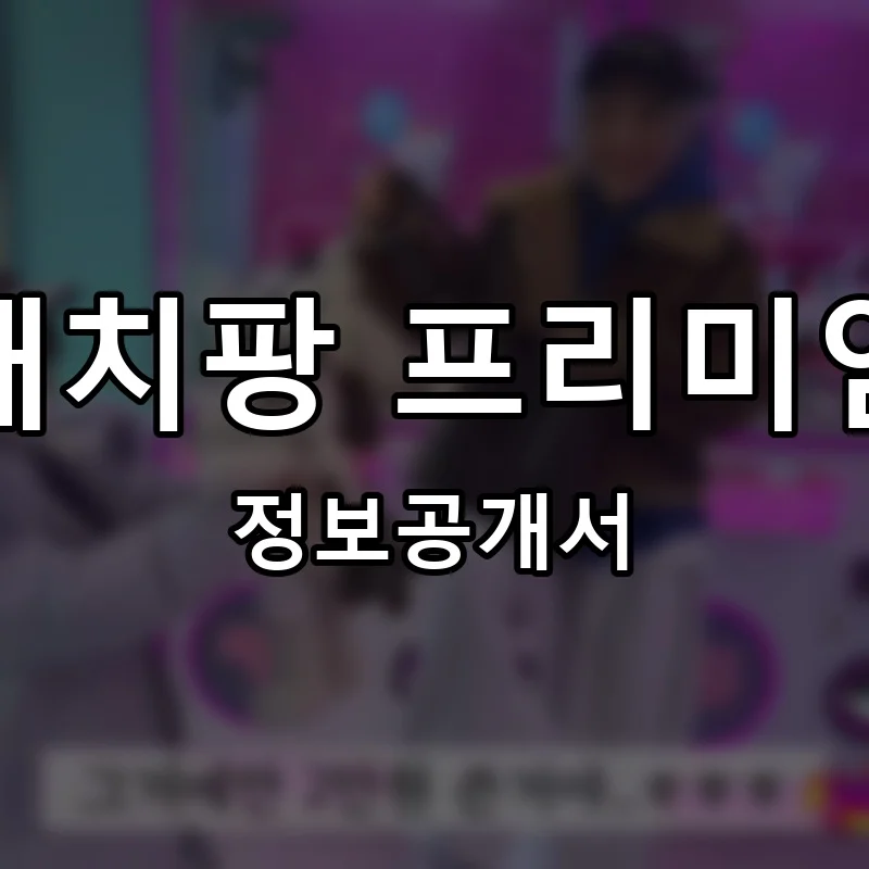 캐치팡 프리미엄 프랜차이즈 정보공개서