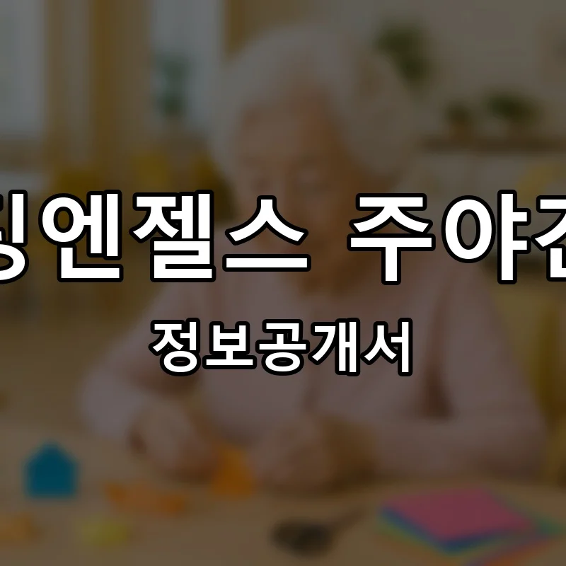 비지팅엔젤스 주야간보호 프랜차이즈 정보공개서