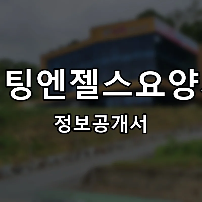 비지팅엔젤스요양시설 프랜차이즈 정보공개서