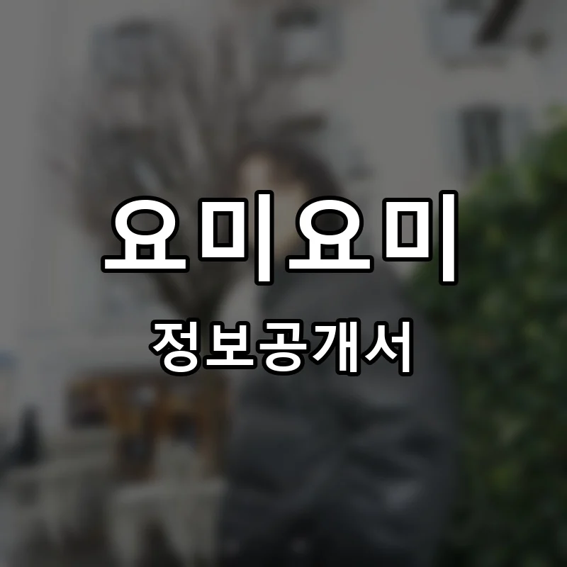 요미요미(YOMIyomi) 프랜차이즈 정보공개서