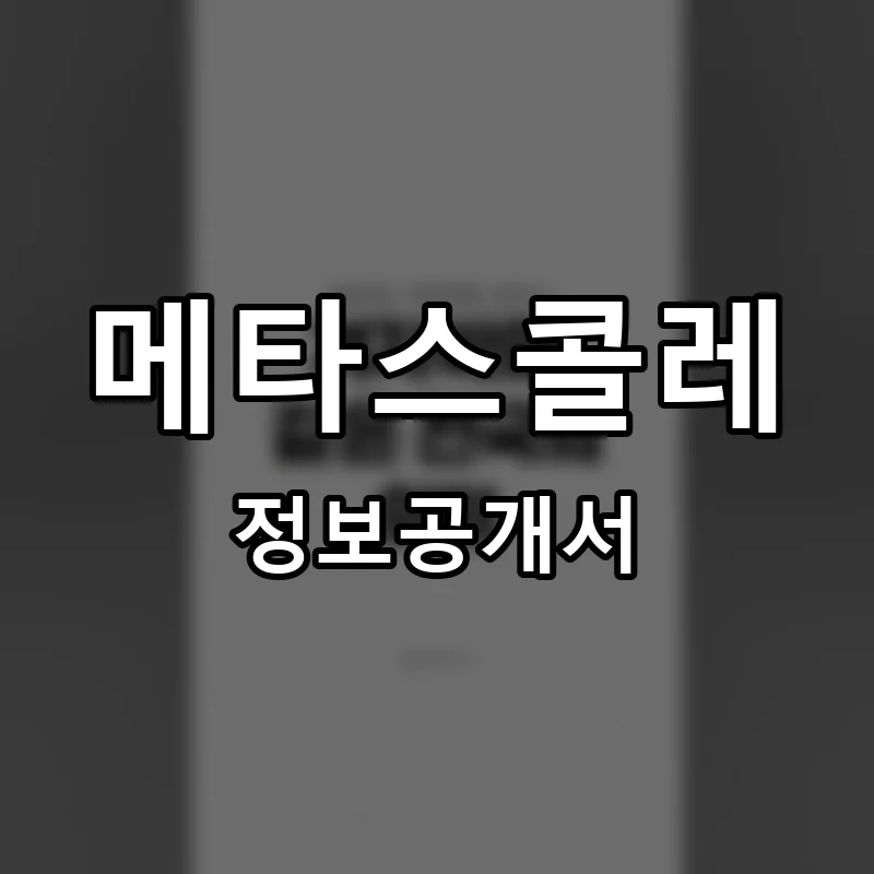 메타스콜레 프랜차이즈 정보공개서