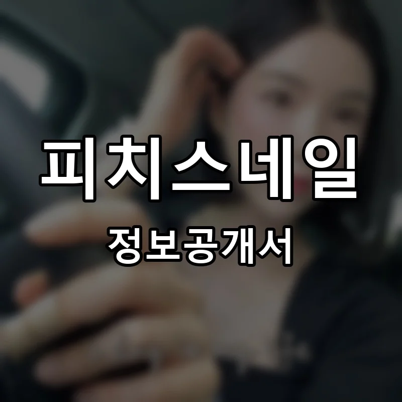피치스네일 프랜차이즈 창업 비용 정보공개서 요약