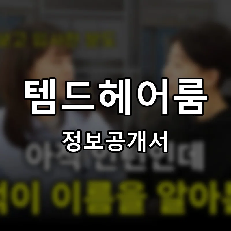 템드헤어룸 프랜차이즈 정보공개서