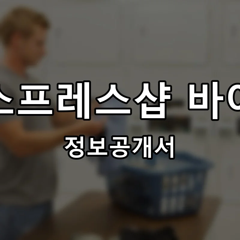 런드리익스프레스샵 바이비디에스 프랜차이즈 정보공개서