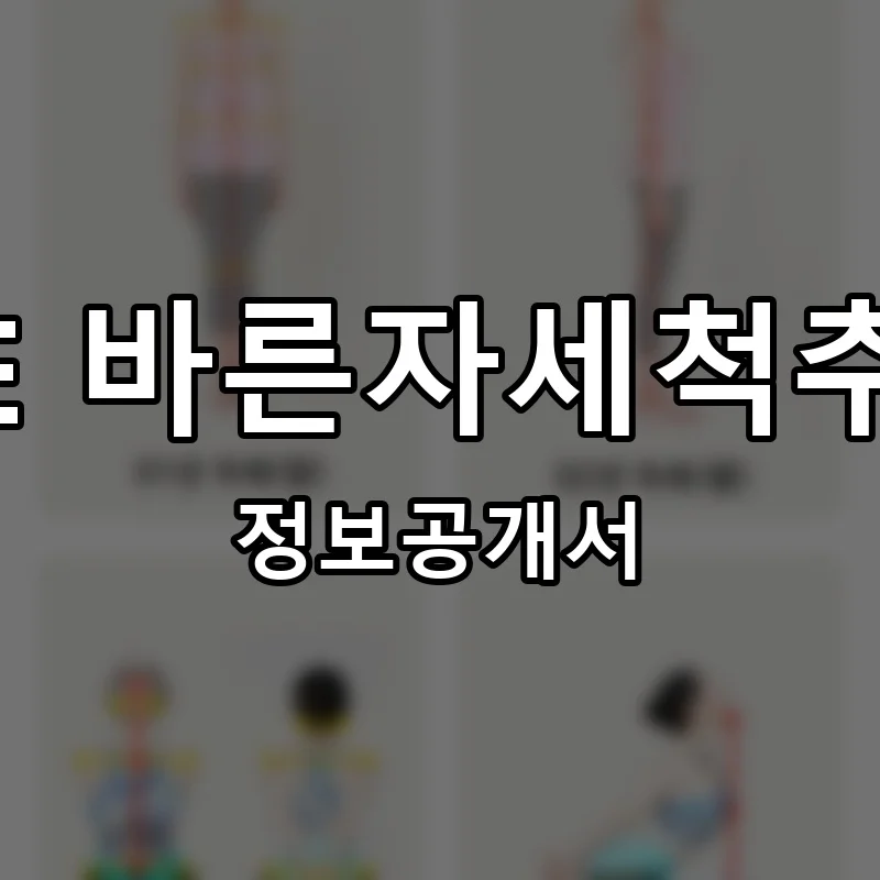 SNPE 바른자세척추운동 창업 프랜차이즈 정보공개서 요약 2025.10.16