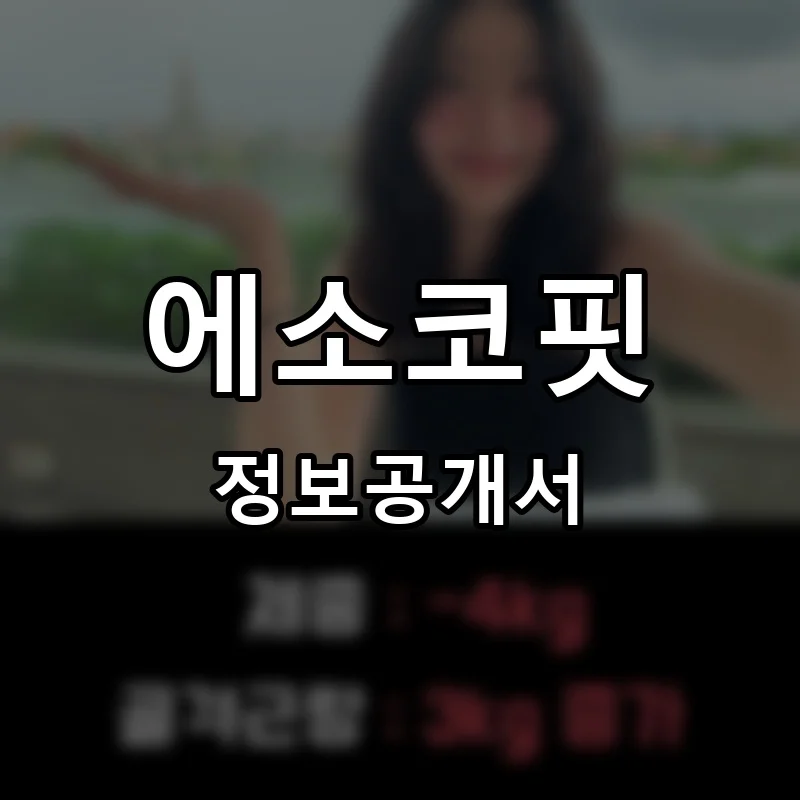 에소코핏 프랜차이즈 창업 비용 정보공개서 요약