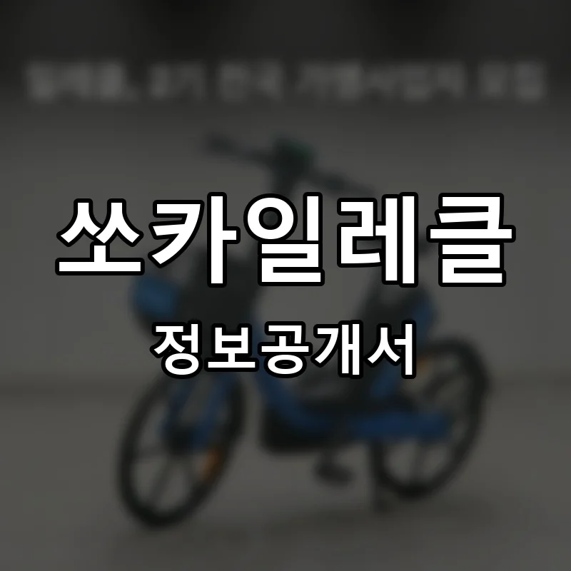 쏘카일레클 프랜차이즈 정보공개서
