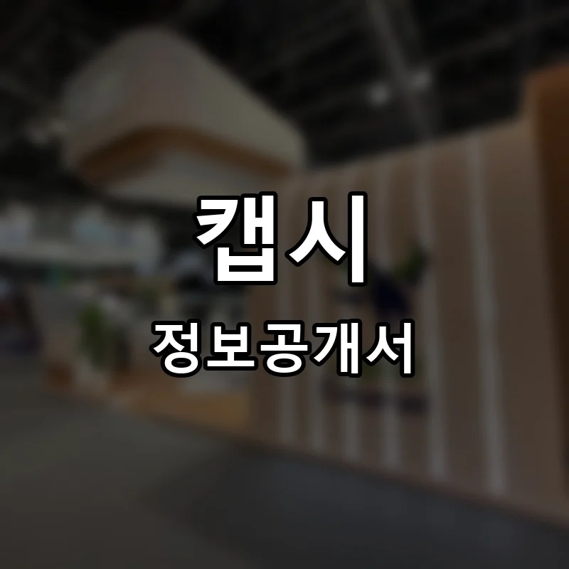 캡시(Cabsy) 프랜차이즈 정보공개서