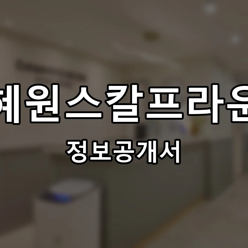담혜원스칼프라운지 프랜차이즈 창업 비용 정보공개서 요약