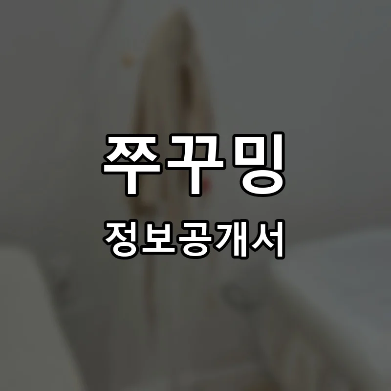 쭈꾸밍 프랜차이즈 창업 비용 정보공개서 요약