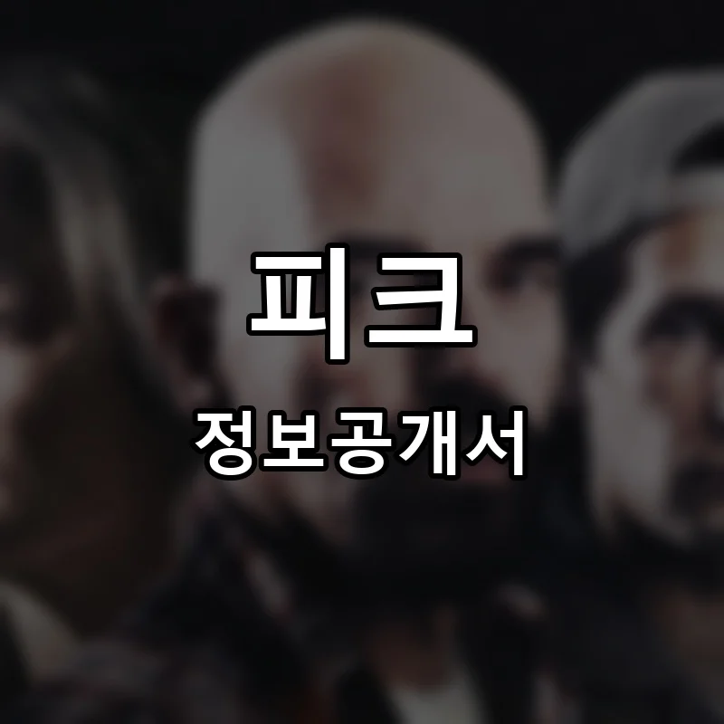 피크 프랜차이즈 정보공개서