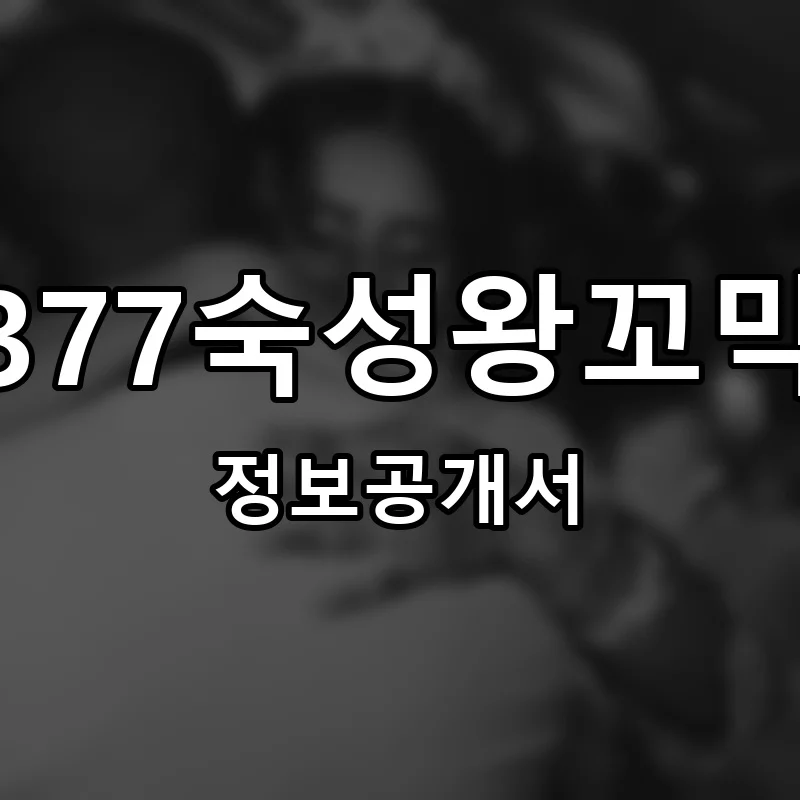 377숙성왕꼬막 창업 프랜차이즈 정보공개서 요약 2026.02.05